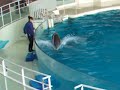 ?????????