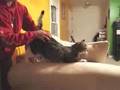 10/11/07-Knox