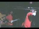 \"Dopeband\" @ Sputnick