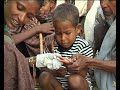 NetworkNewsToday: WORLD MALARIA REPORTS PROGRESS (W.H.O.)