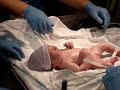 Doctors Cleaning Kailey Renee\ Doctors Cleaning Kailey Renee\