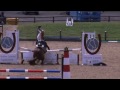 Funny Horse Falls Part 2