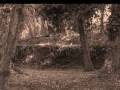 videos de Witch's Hill promo1