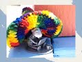 Ode to Shelly, the SBI Tortoise Ode to Shelly, the SBI Tortoise