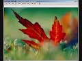 Linux Tiger 1.02