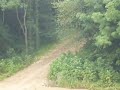 quad cross 125 sportif n°6
