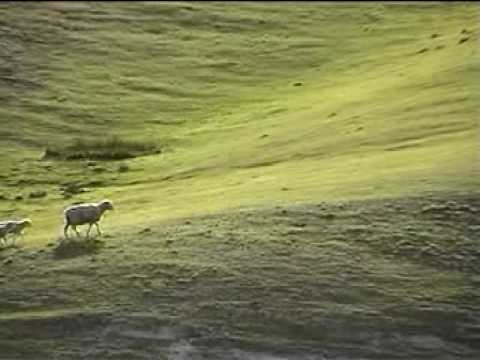 This little river went to market - ...