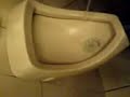 Furzendes Pissoir in M�rsbach