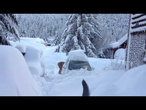 Snowmachining down the street - Cordova Snowpocalypse 2012