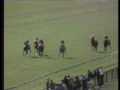 1971 - Brigadier Gerard, Mill Reef and My Swallow Guineas 1971 - Brigadier Gerard, Mill Reef and My Swallow Guineas