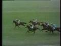 1971 - Brigadier Gerard, Mill Reef and My Swallow Guineas