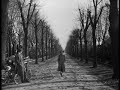 The Third Man The Third Man