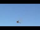 VUELO GASTON EN VENADO