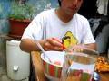 videos de almuerzo en el patio de mi casa