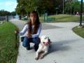 Deaf-Dog-Training-w-