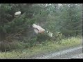 Civic rally crash!! Civic rally crash!!