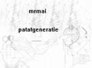 mrmai - patat generatie