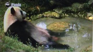 Wolong National Nature Reserve