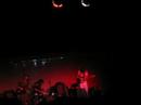Animal Collective