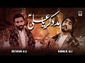Download Madad Kar Ya Ali Numan Ali Rizwan Ali New Qasida 2020 Mp3 Song