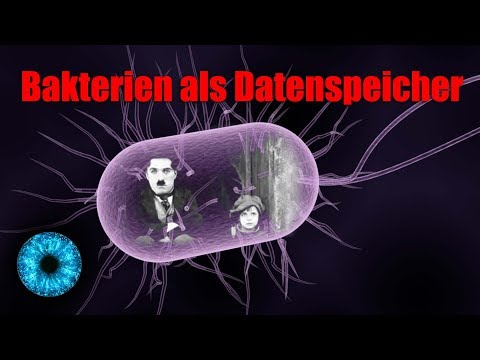 Bakterien als Datenspeicher - Clixoom Science & Fiction
