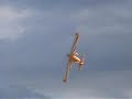 aeromodelo Super Decathlon  piloto marcelo moreto