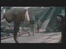 Khmer Rouge4 Khmer Rouge4