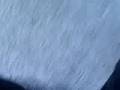 videos de shean gets owend
