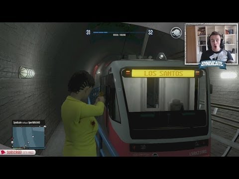 how to train zucchini to climb