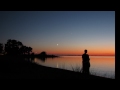 Summer Sunset and Odd Beetle and Moon with Venus