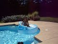 little mermaid fall little mermaid fall
