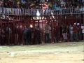 Ver Video