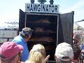 the Hawginator