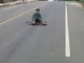 minha velha infaçia