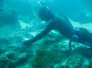 ugo_pulpo ugo_pulpo