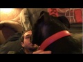Preston & my Thor would have so much fun playing together. Such a sweet video. http://t.co/SmnPiEtb