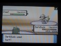 Pokemon Wifi Battles: #3