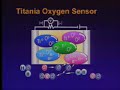 Sensor de Oxigeno