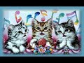 gatitos regalones gatitos regalones