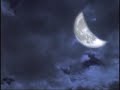Faefever Book Trailer