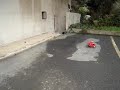 RC Ducati Desmosedici ( first timer )