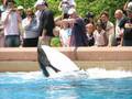 Marineland Niagara