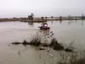 honda recon water wheelies