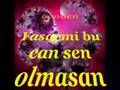 sen olmasan