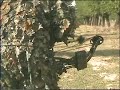 Ver vídeo