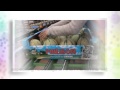 Videos Videos