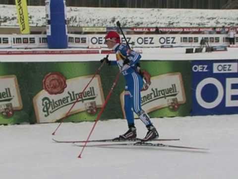 Evropský pohár 2008/2009