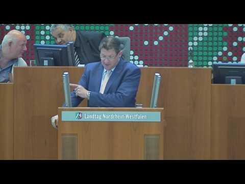 Dietmar Brockes (FDP): NRW wehrt sich gegen den vorze ...