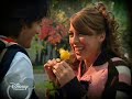 FLORES AMARILLAS- FLOR Y MAX