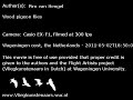 Wood pigeon flies Wood pigeon flies